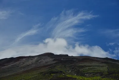 DSC_3661 (Large).JPG